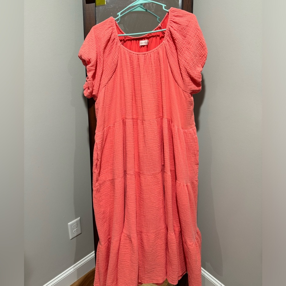 Ivy City Co. Harvey Dress in Coral - Picture 2 of 2